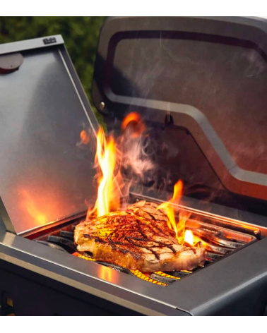 Barbecue a gas Freestyle F365SIB con infrarosso laterale Napoleon