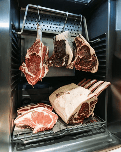 Frigorifero DryAged Master 125 Caso per dry aging in acciaio 125 L - Outdoor Privé