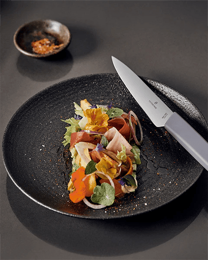 Ceppo coltelli Victorinox Swiss Modern – 6 pezzi colorati assortiti - Outdoor Privé