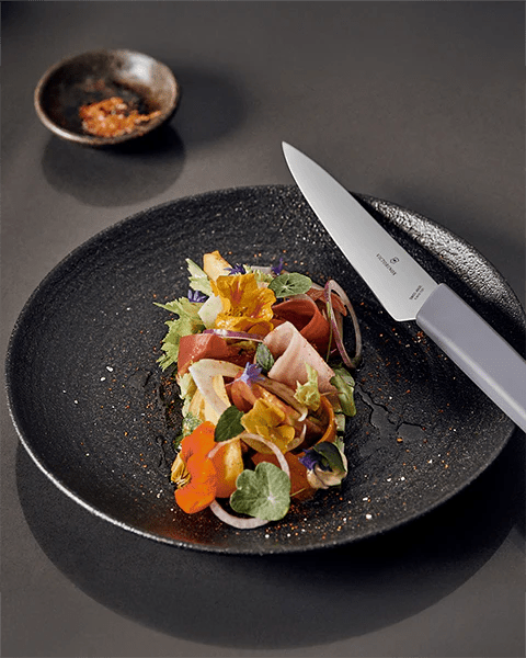 Ceppo coltelli Victorinox Swiss Modern – 6 pezzi colorati assortiti - Outdoor Privé